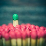 shutterstock_253710055